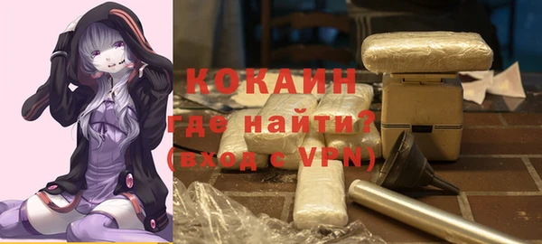 сатива Балахна