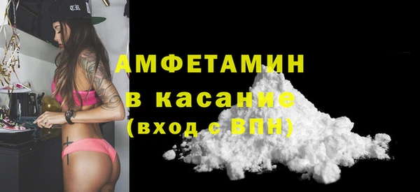сатива Балахна
