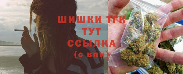 сатива Балахна