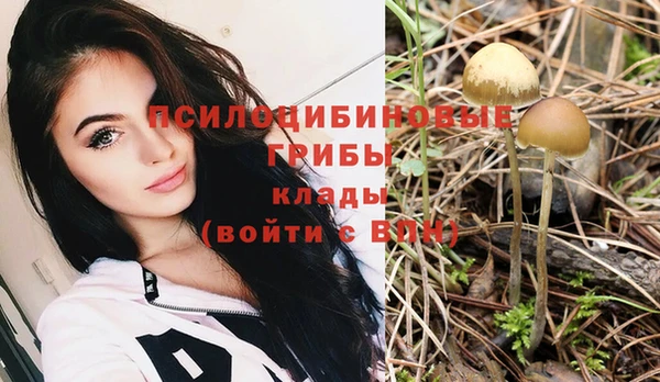 спиды Балабаново